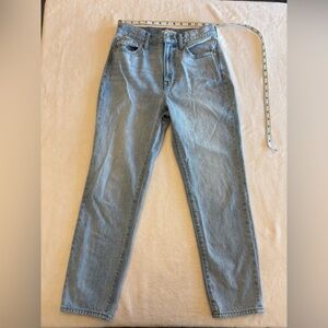 Madewell Vintage Sky Blue Denim Pants